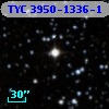 TYC 3950-1336-1