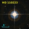 HD 110223