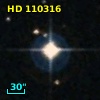 HD 110316