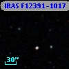 IRAS F12391-1017