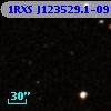 1RXS J123529.1-091442