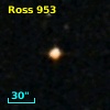 Ross  953