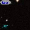 Ross  954