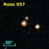 NLTT 31688