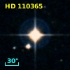 HD 110365