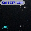 Cul 1237-114