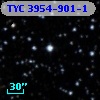 TYC 3954-901-1