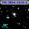 TYC 3954-1124-1
