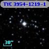 TYC 3954-1219-1
