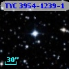 TYC 3954-1239-1