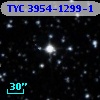 TYC 3954-1299-1
