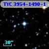 TYC 3954-1490-1