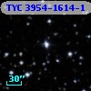 TYC 3954-1614-1
