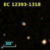 EC 12393-1318