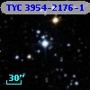 TYC 3954-2176-1
