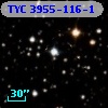 TYC 3955-116-1