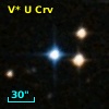 V* U Crv