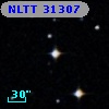 NLTT 31307