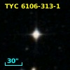 TYC 6106-313-1