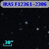IRAS F12361-2306