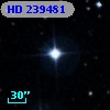 HD 239481