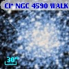 Cl* NGC 4590   WALK     350