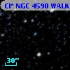 Cl* NGC 4590   WALK      83