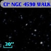 Cl* NGC 4590   WALK     596