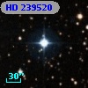HD 239520