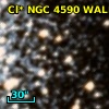 Cl* NGC 4590   WALK      72