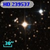 HD 239537
