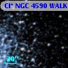 Cl* NGC 4590   WALK      60