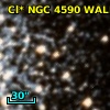 Cl* NGC 4590   WALK      69