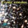 Cl* NGC 4590   WALK      78