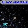 Cl* NGC 4590   WALK      95