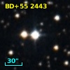 BD+55  2443