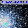 Cl* NGC 4590   WALK     123