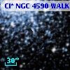 Cl* NGC 4590   WALK     157