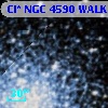 Cl* NGC 4590   WALK     163