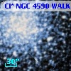 Cl* NGC 4590   WALK     174