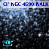Cl* NGC 4590   WALK     181