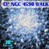 Cl* NGC 4590   WALK     302