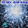 Cl* NGC 4590   WALK     307