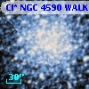 Cl* NGC 4590   WALK     317