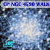 Cl* NGC 4590   WALK     318