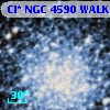 Cl* NGC 4590   WALK     319