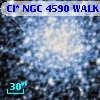 Cl* NGC 4590   WALK     332