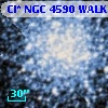 Cl* NGC 4590   WALK     333