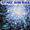 Cl* NGC 4590   WALK     338
