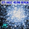 Cl* NGC 4590   WALK     345